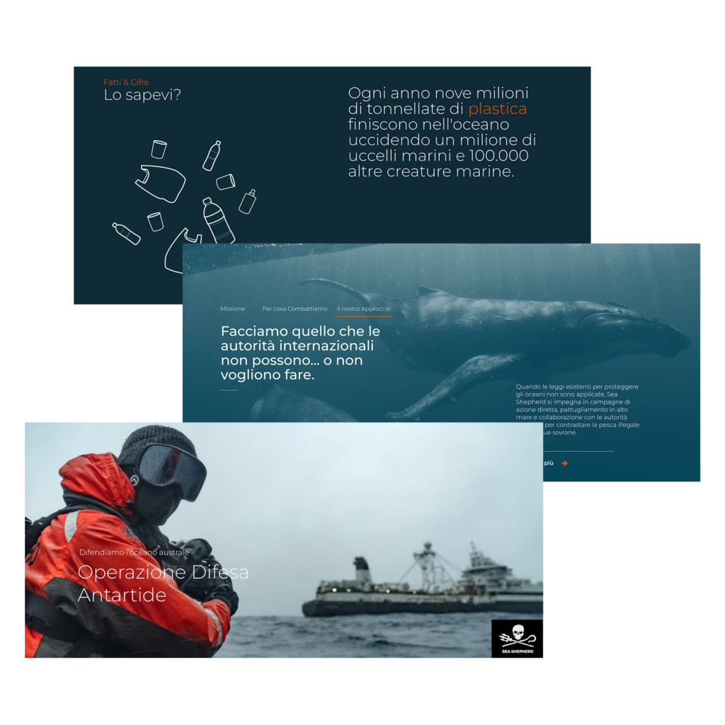 UI/UX Website Design